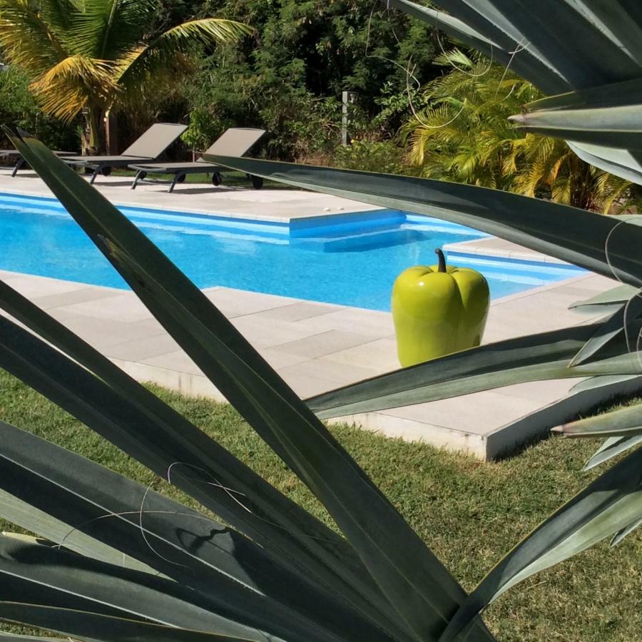 Gite Les Jardins D'Enoha Anse-Bertrand Экстерьер фото